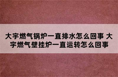 大宇燃气锅炉一直排水怎么回事 大宇燃气壁挂炉一直运转怎么回事